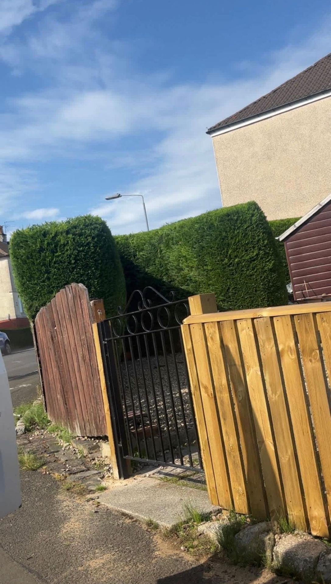 New timber fencing and gate installation with trimmed hedges at an Ayrshire residential property