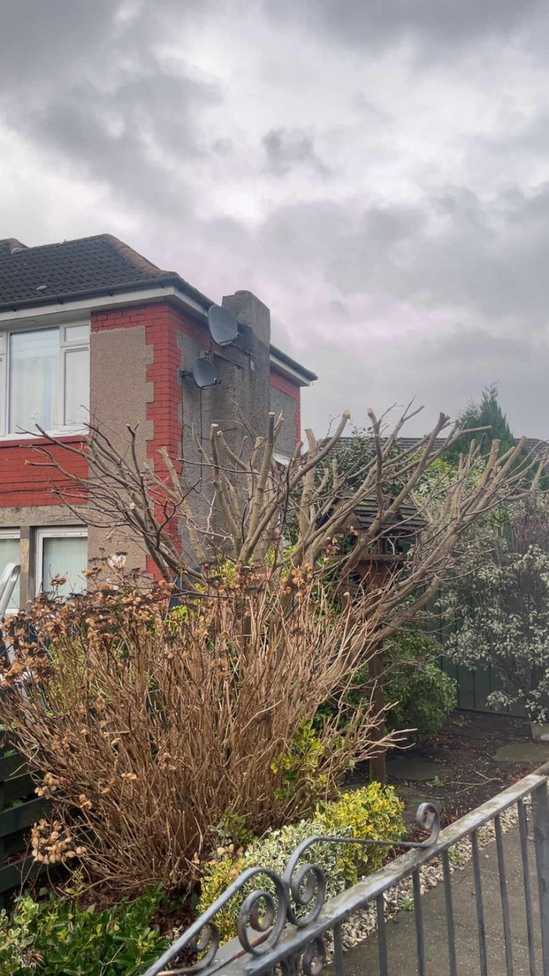 Professional tree pruning and crown reduction at a residential property in Ayrshire