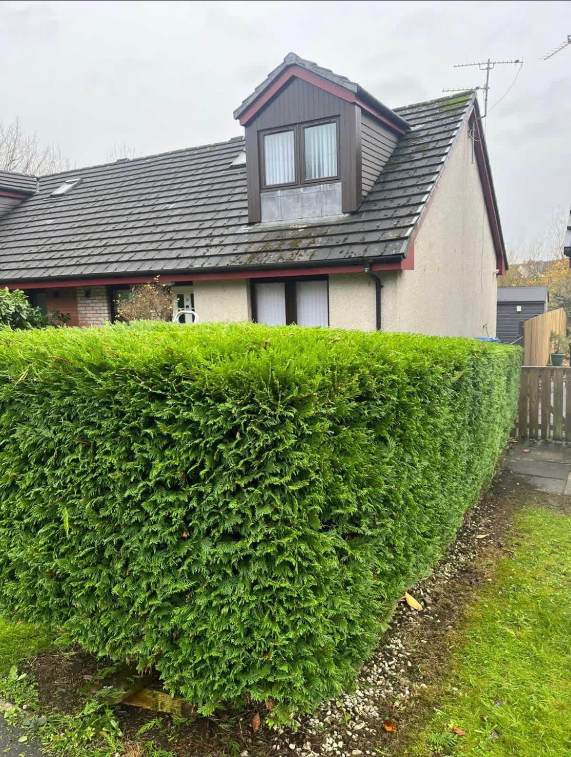 Professional gardening and landscaping services in Ayrshire